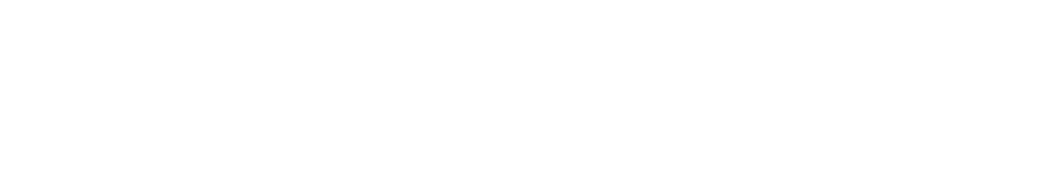 Webdock logo